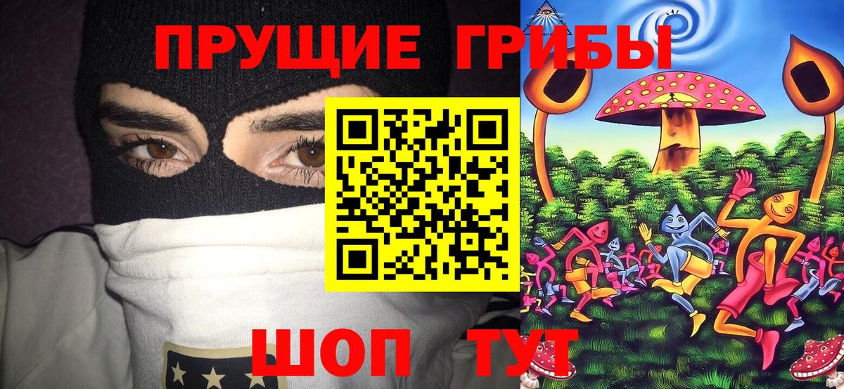 Галлюциногенные грибы Psilocybine cubensis  сколько стоит  Звенигород  Вход с VPN 