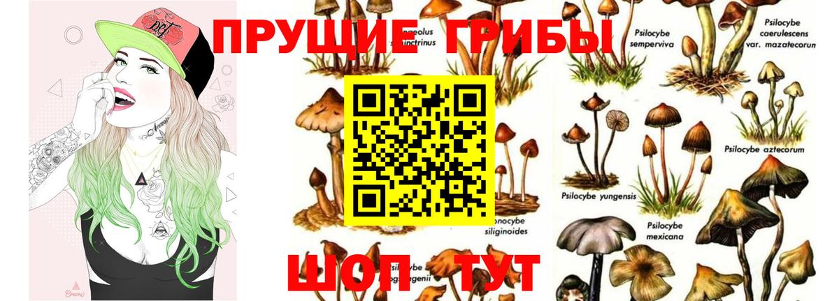 Псилоцибиновые грибы ЛСД Звенигород